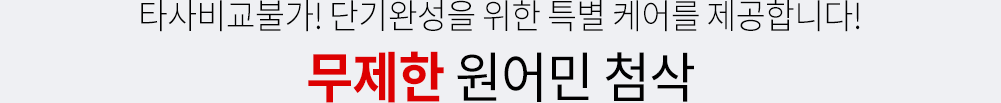 무제한 원어민 첨삭 - 타사비교불가! 파이널 프리패스 한정 특별케어