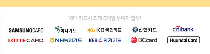 10대 카드사 최대 6개월 무이자 할부 (상세 내용은 아래 참조)